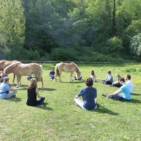 La Casella Antico Feudo Di Campagna Ficulle Buitenkant foto