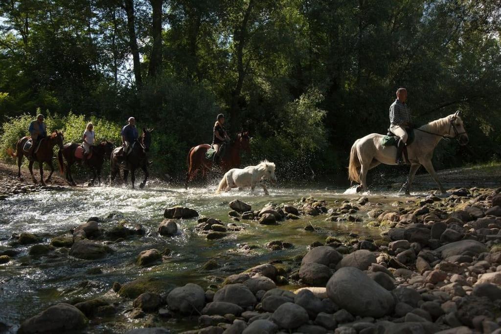 La Casella Antico Feudo Di Campagna Ficulle Buitenkant foto