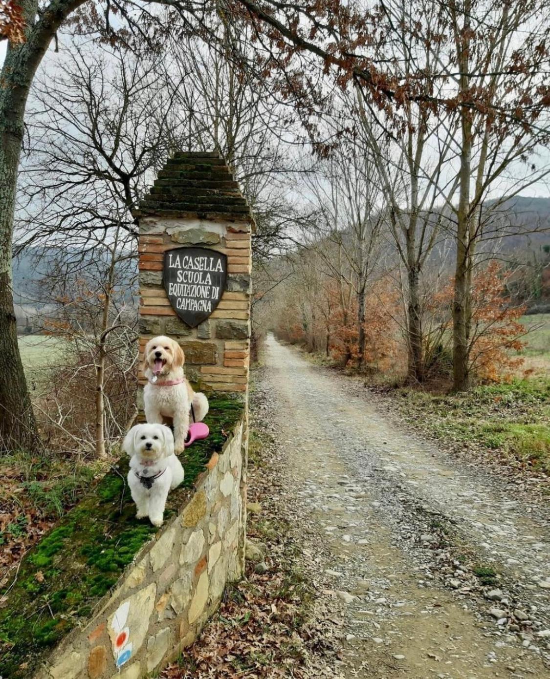 La Casella Antico Feudo Di Campagna Ficulle Buitenkant foto