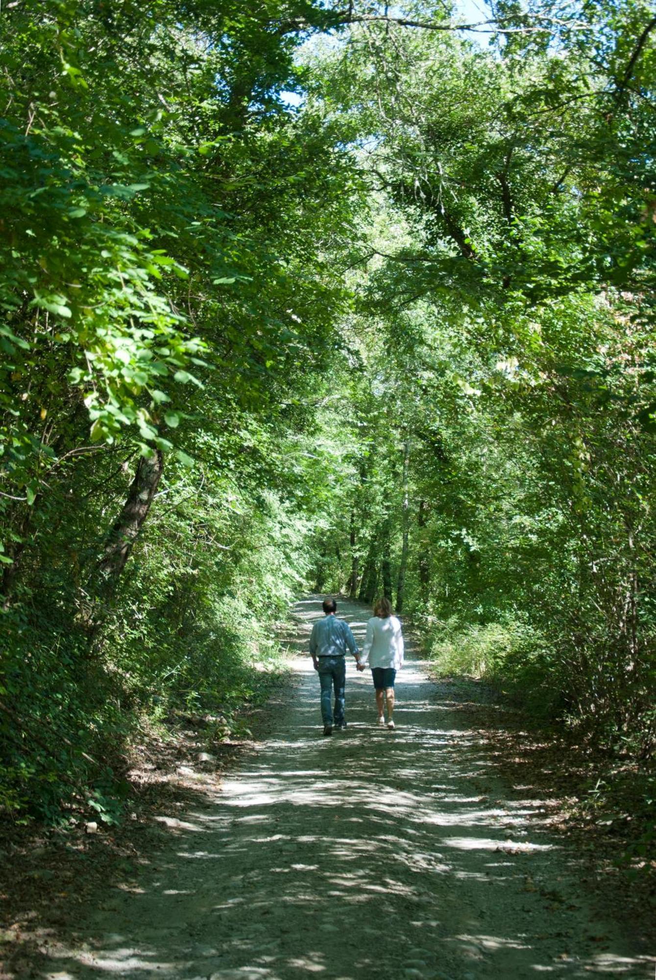 La Casella Antico Feudo Di Campagna Ficulle Buitenkant foto