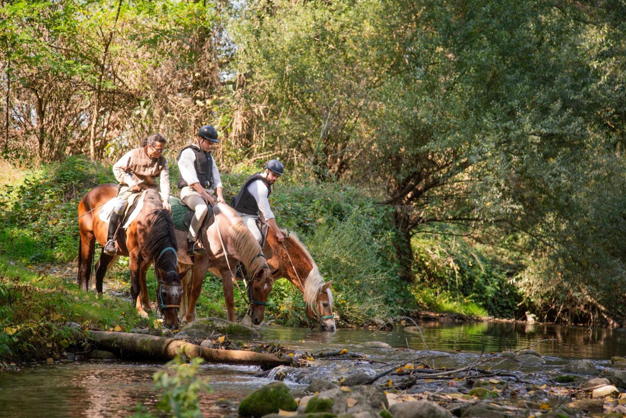La Casella Antico Feudo Di Campagna Ficulle Buitenkant foto