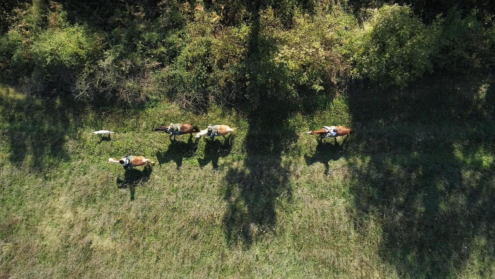 La Casella Antico Feudo Di Campagna Ficulle Buitenkant foto