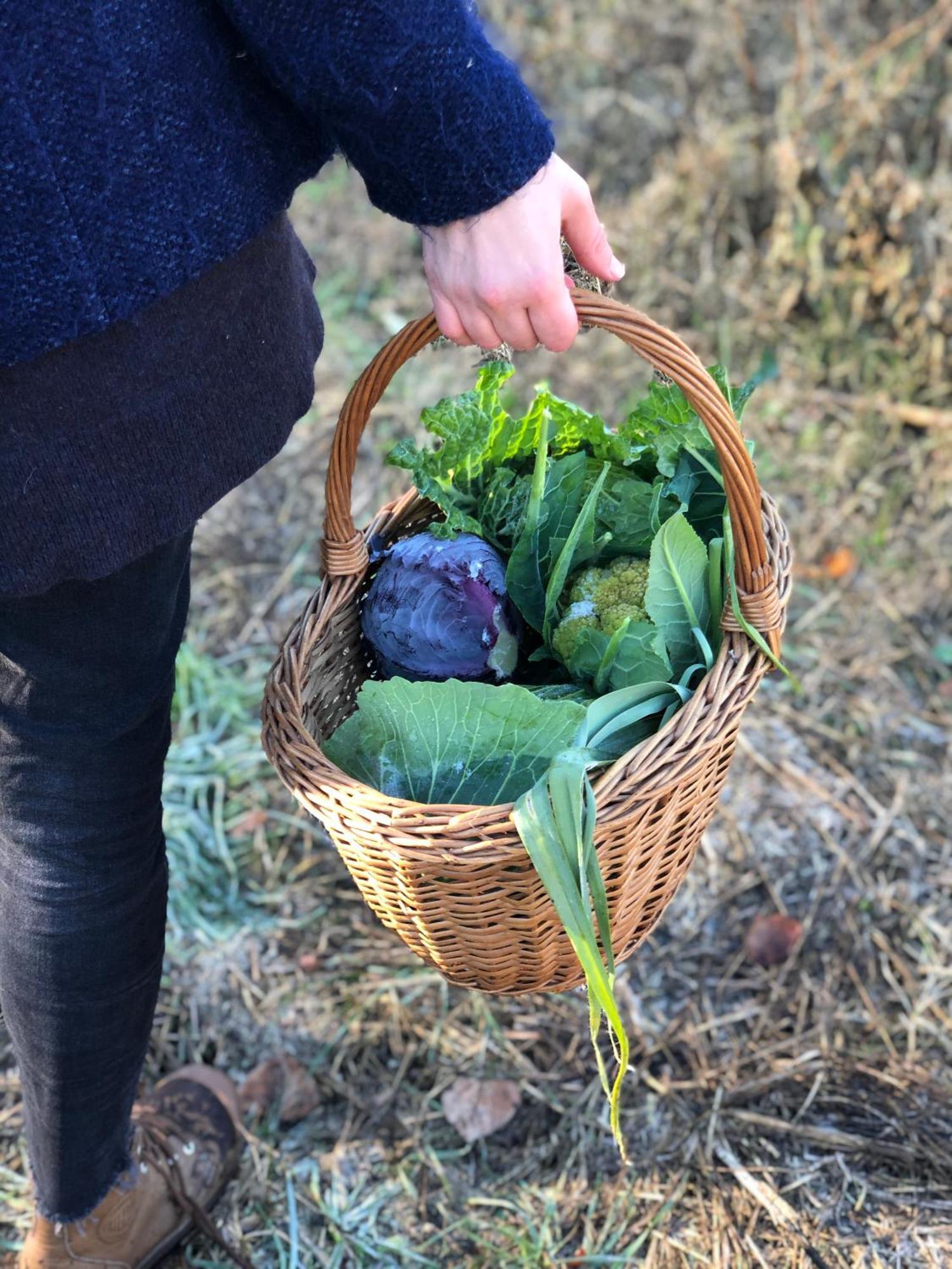 La Casella Antico Feudo Di Campagna Ficulle Buitenkant foto