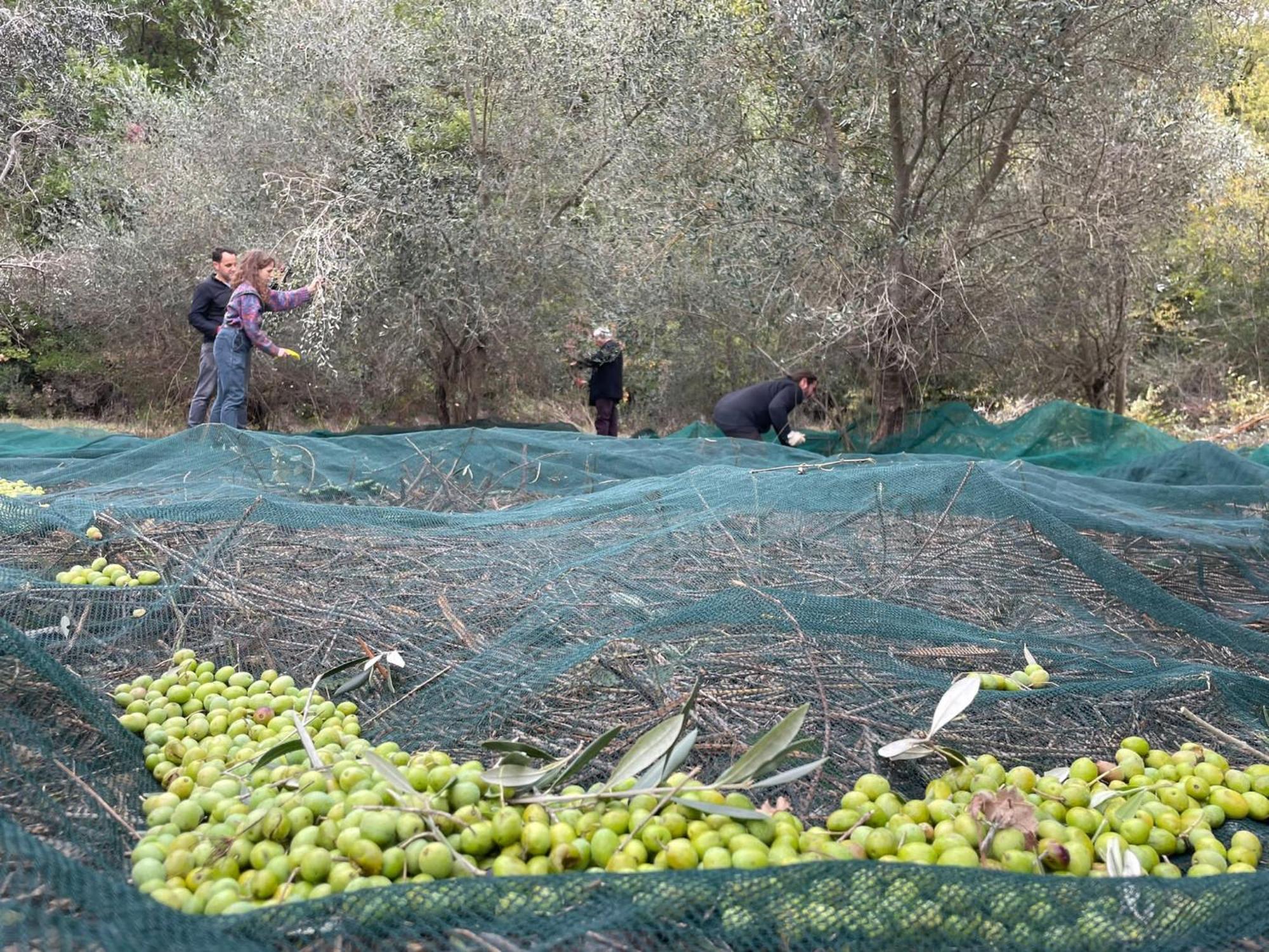 La Casella Antico Feudo Di Campagna Ficulle Buitenkant foto