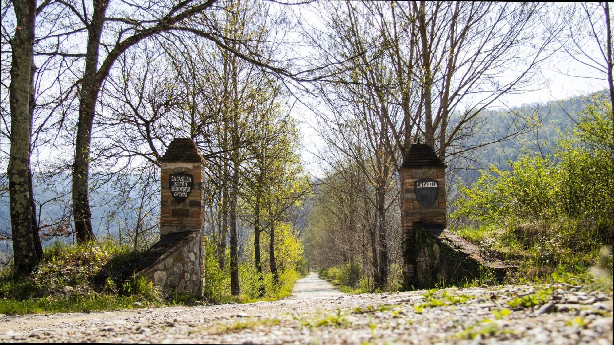 La Casella Antico Feudo Di Campagna Ficulle Buitenkant foto